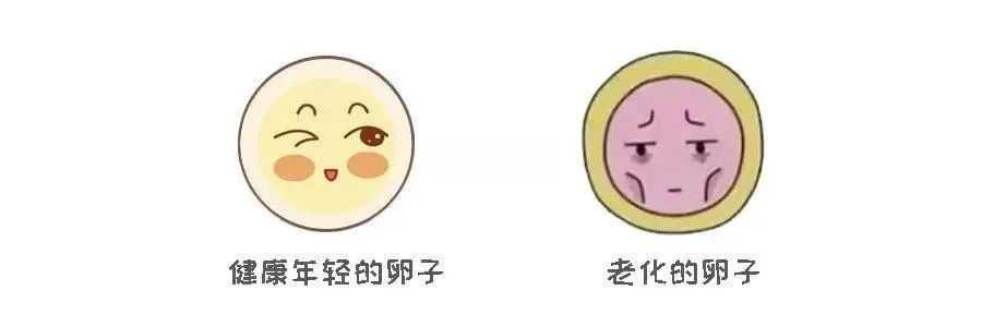   弓形子宮做試管，成功率到底怎么樣